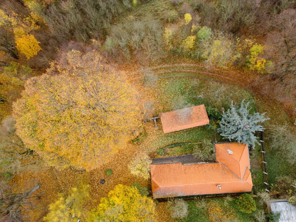 Aerial