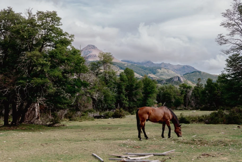 Patagonia — photograph 10